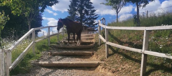 Ферма с 2 спальнями в Обербергиш, Германия № 336486 3