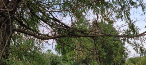 Ферма с 2 спальнями в Обербергиш, Германия № 336486 2