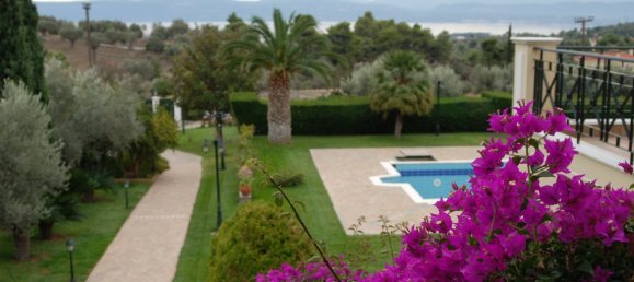 8 chambres Villa à Euboea, Greece No. 6159 25