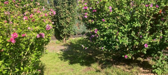 5غرفة تاون هاوس في Hanover, Germany رقم 311445 7