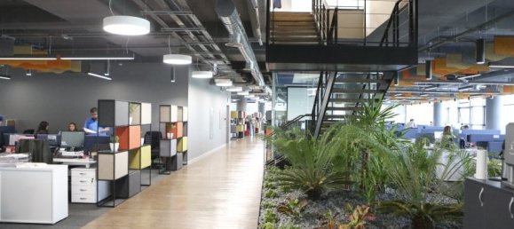 Studio in Istanbul, Turkey, Nr. 2438 2