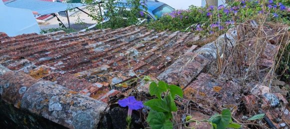 استوديو في Alenquer, Portugal رقم 56499 6