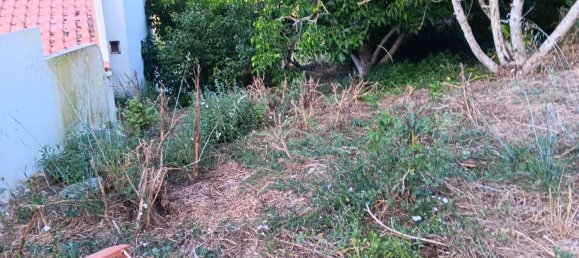 استوديو في Alenquer, Portugal رقم 56499 2