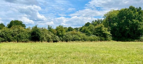 4240m² Land in Charbuy, France No. 315196 5