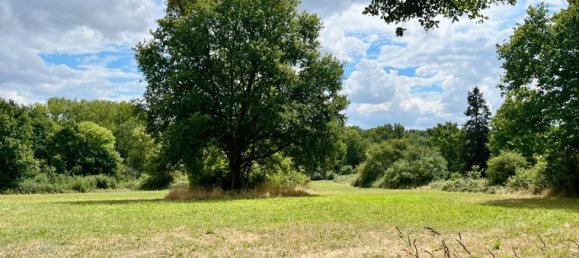 4240m² Land in Charbuy, France No. 315196 3