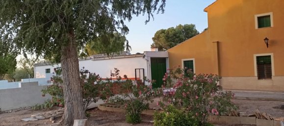 Дом с 3 спальнями в Екла, Испания № 149569 22