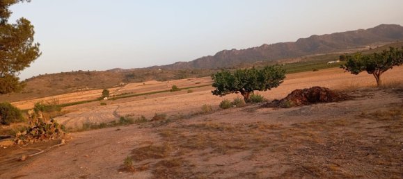 Дом с 3 спальнями в Екла, Испания № 149569 38