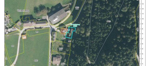 1142m² Land in Schonberg im Stubaital, Austria No. 238495 8