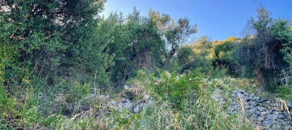 Terra em Corfu, Greece 4982 m² N.º 92626 11