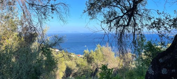 Terra em Corfu, Greece 4982 m² N.º 92626 7