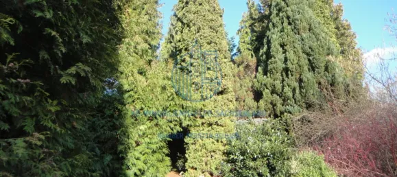 Casa T2 em Mittelsachsen, Germany N.º 162540 24