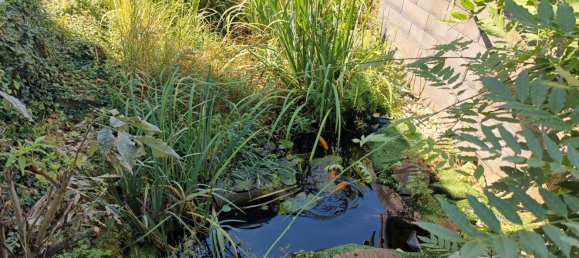 5 rooms Townhouse in Altenkirchen, Germany No. 183930 7