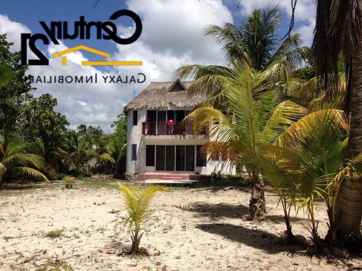 Gebäude in Yucatan, Mexico 8919m², Nr. 200988