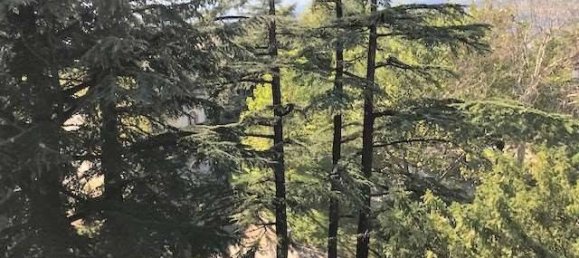 Penthouse T2 em Rovereto, Italy N.º 275442 5