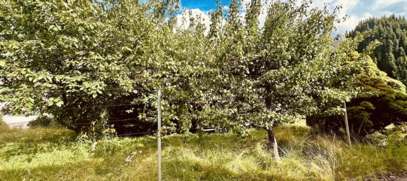 2 غرف نوم منزل في Baden-Wurttemberg, Germany رقم 2885 10