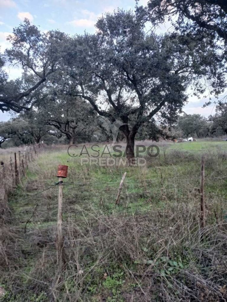  Land in Alandroal, Portugal No. 274406