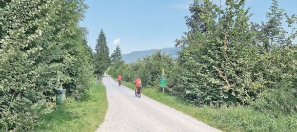 3-Zimmer Wohnung in Hallein, Austria, Nr. 234803 19