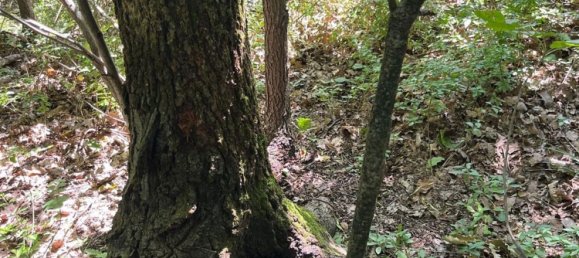 10غرفة قلاع في Gassino Torinese, Italy رقم 271222 13