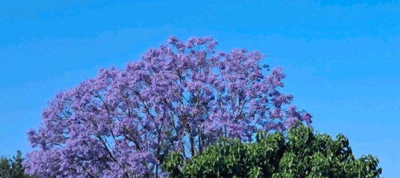 3 chambres Maison à Ostallgau, Germany No. 248711 3