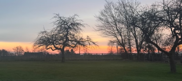 Земельный участок в Нойвид, Германия № 324406 2