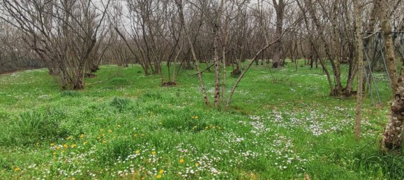 3700m² Land in Montefredane, Italy No. 14341 6