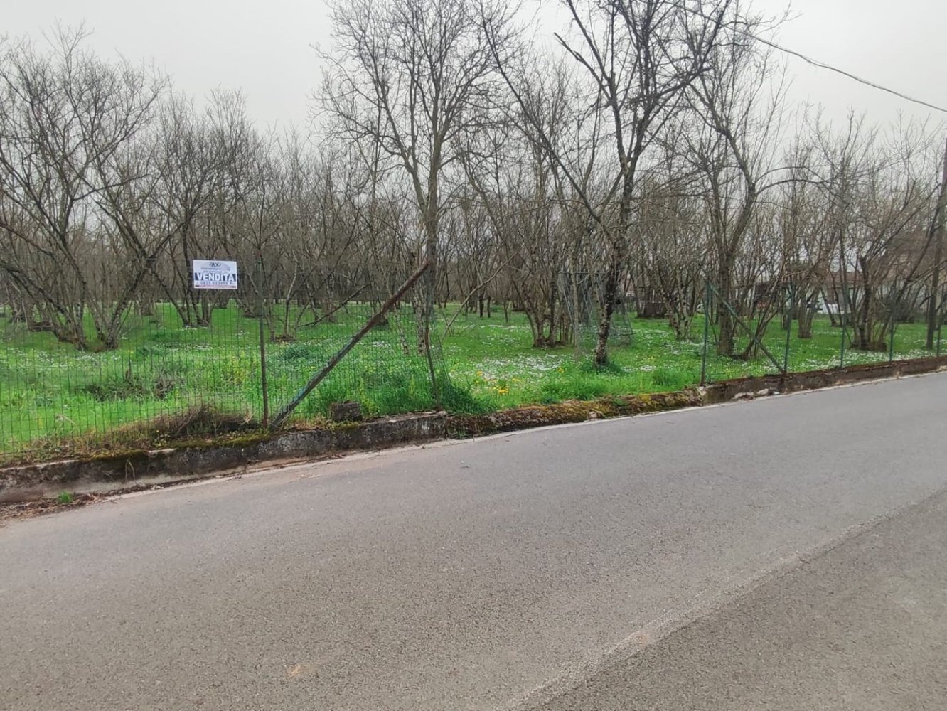 3700m² Land in Montefredane, Italy No. 14341