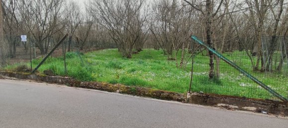 3700m² Land in Montefredane, Italy No. 14341 7