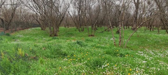 3700m² Land in Montefredane, Italy No. 14341 4