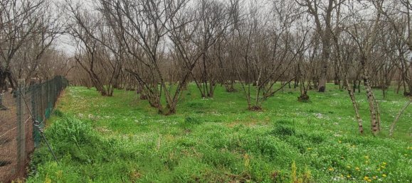 3700m² Land in Montefredane, Italy No. 14341 5