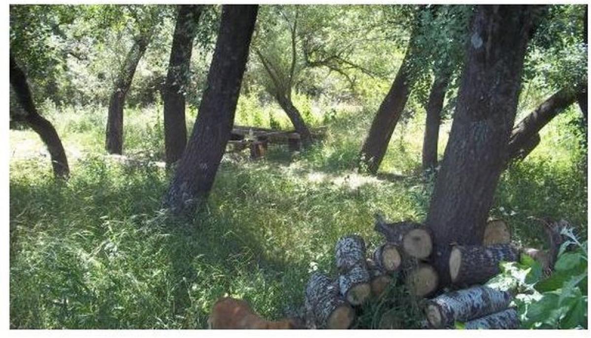 Земельный участок в Эскобар, Аргентина № 38480