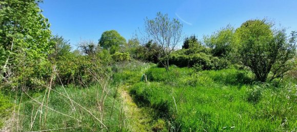 6 bedrooms House in Tarn, France No. 338701 9