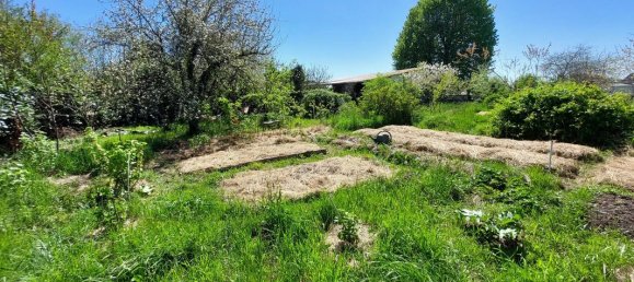 6 bedrooms House in Tarn, France No. 338701 11