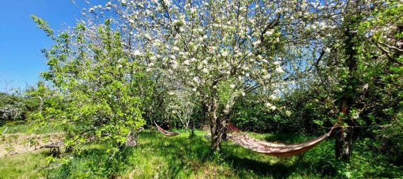 6 bedrooms House in Tarn, France No. 338701 10