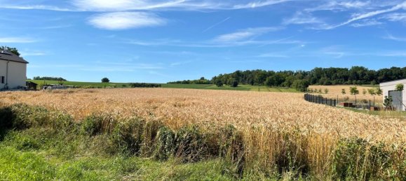 1057m² Land in Rantzwiller, France No. 266220 3