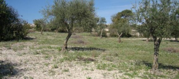 3غرفة قطعة أرض في Ragusa, Italy رقم 230336 9