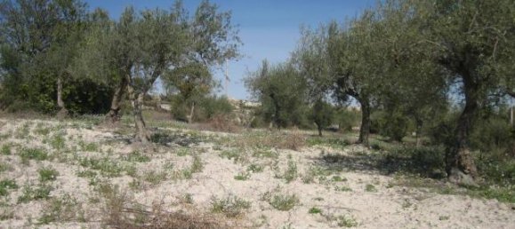 3غرفة قطعة أرض في Ragusa, Italy رقم 230336 6