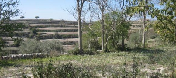 3غرفة قطعة أرض في Ragusa, Italy رقم 230336 8