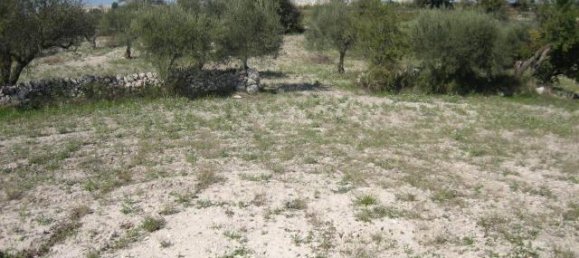 3غرفة قطعة أرض في Ragusa, Italy رقم 230336 4