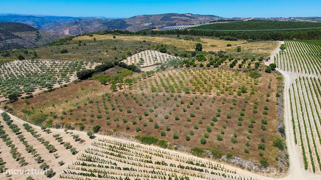 20720m² Land in Sao Joao da Pesqueira, Portugal No. 236599