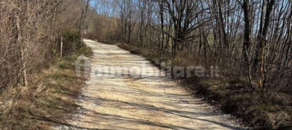 1 bedroom Apartment in Fumane, Italy No. 148776 12