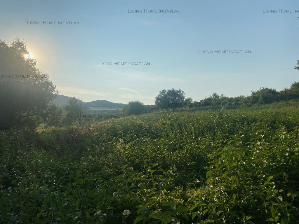  Land in Szentendre, Hungary No. 234