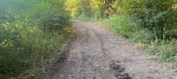  Land in Szentendre, Hungary No. 234 4