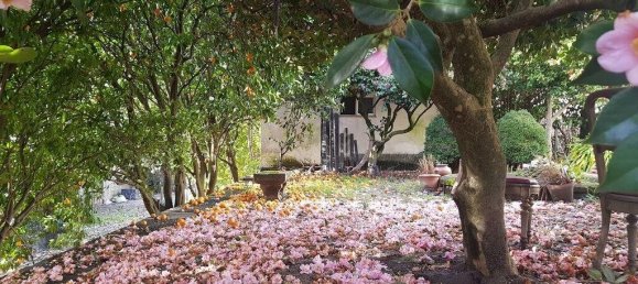 4 bedrooms Townhouse in Vila Real, Portugal No. 124428 10