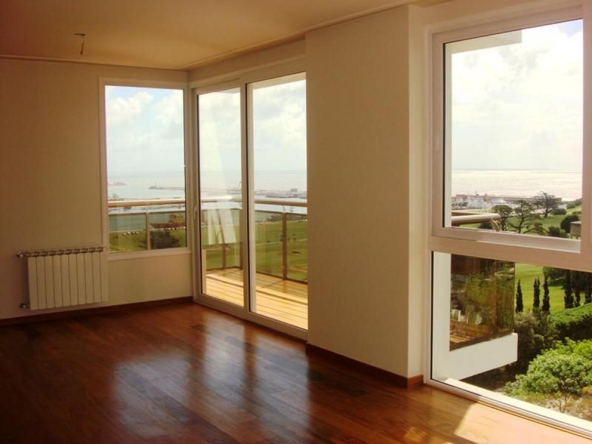 Studio in Mar del Plata, Argentina, Nr. 78486