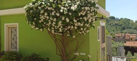 4 rooms Villa in Massarosa, Italy No. 85118 3