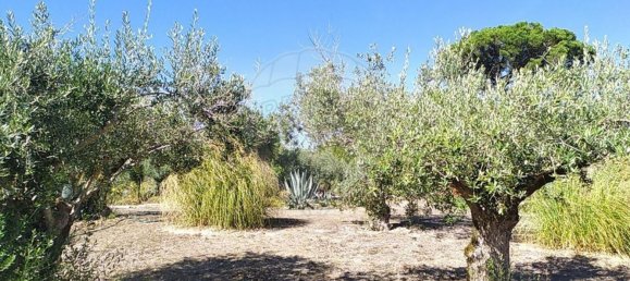 6 bedrooms House in Ourem, Portugal No. 168799 27