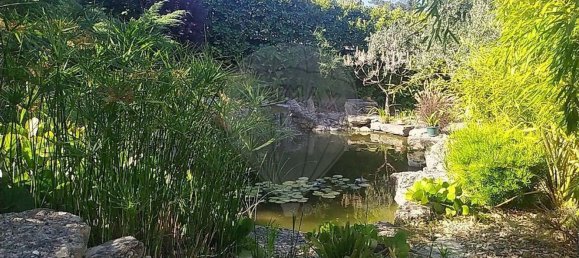 6 bedrooms House in Ourem, Portugal No. 168799 5