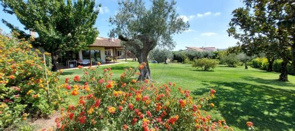 6 bedrooms House in Ourem, Portugal No. 168799 2