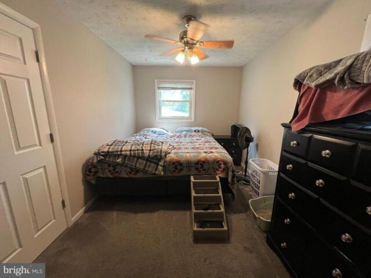 5 bedrooms House in Front Royal, USA No. 421400