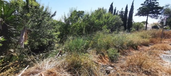 Terrain à Lagoa, Portugal 1484m² No. 35980 4